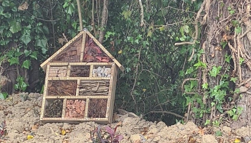 Bug Hotel 1